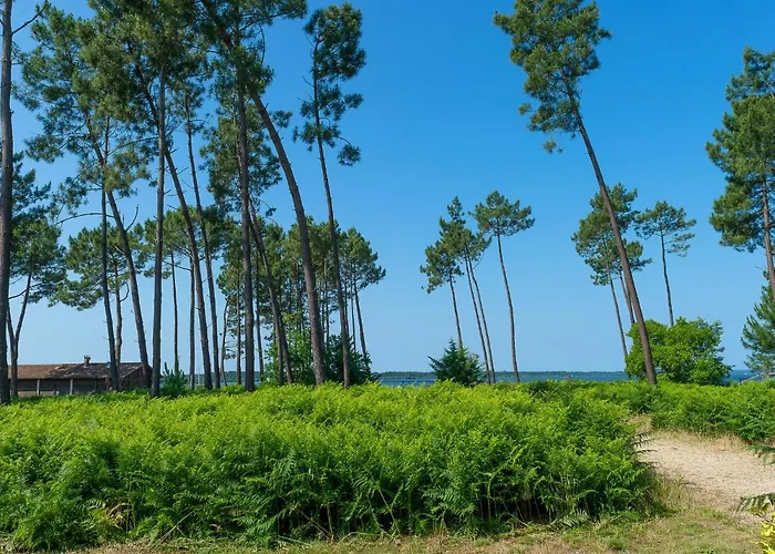 아파트 Les Du T2 Tradition By Interhome 파렝티스 앙 보른